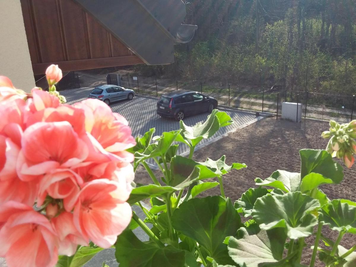 Dworek Akacja Uslugi Hotelarskie Janowiec Eksteriør billede